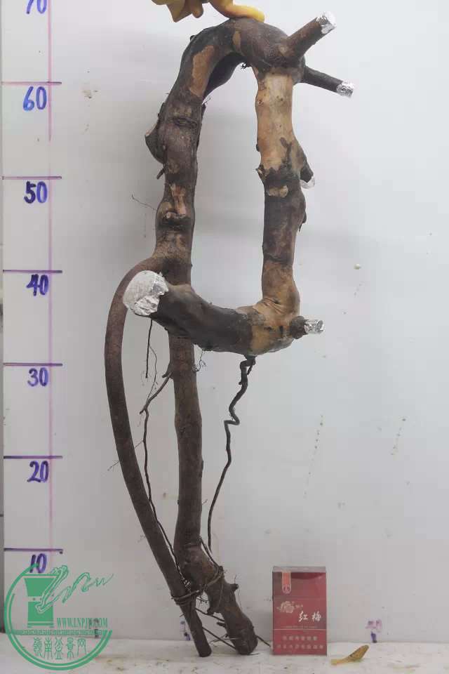 psb (9).jpg