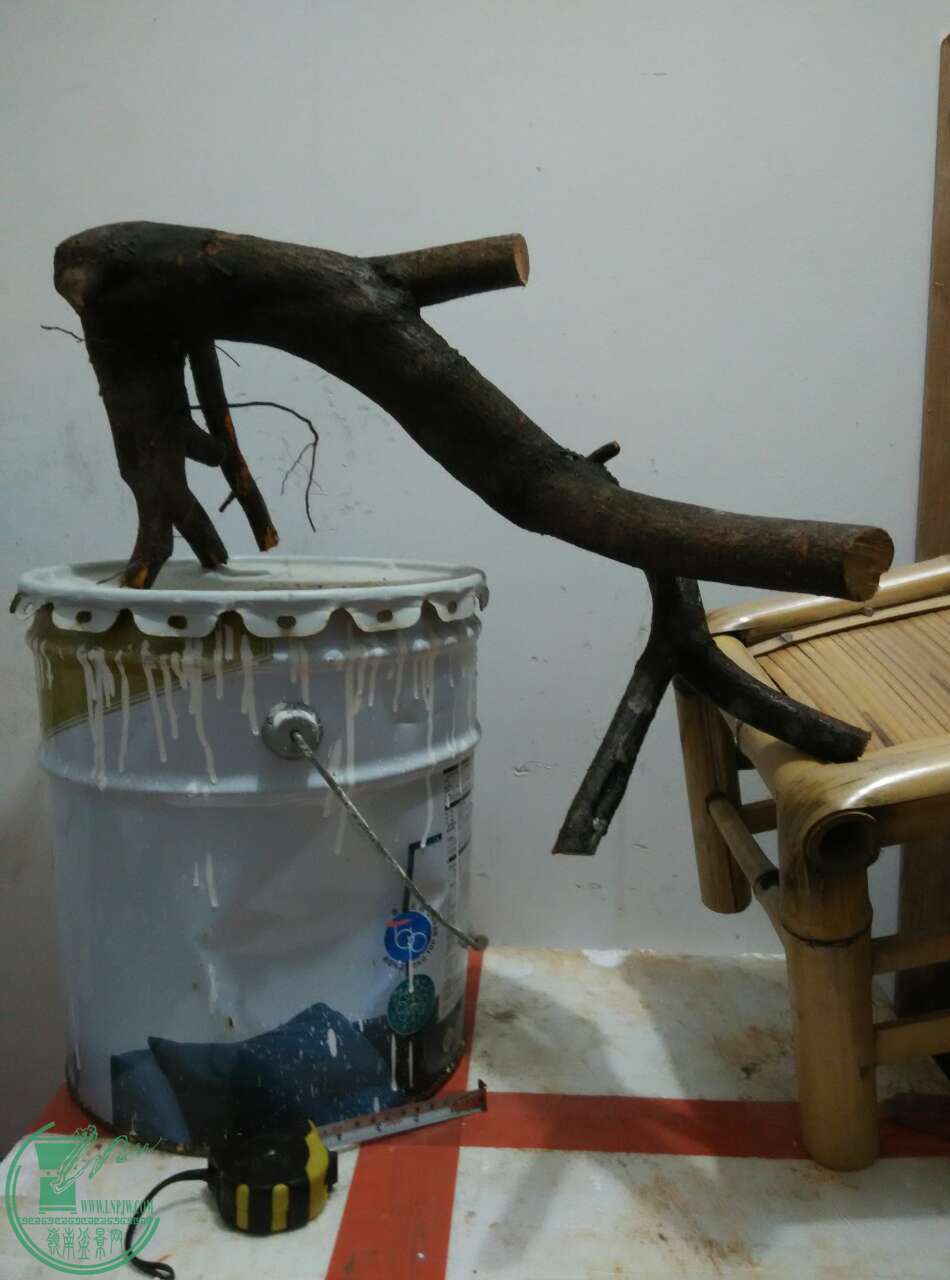 26235_40998281.jpg