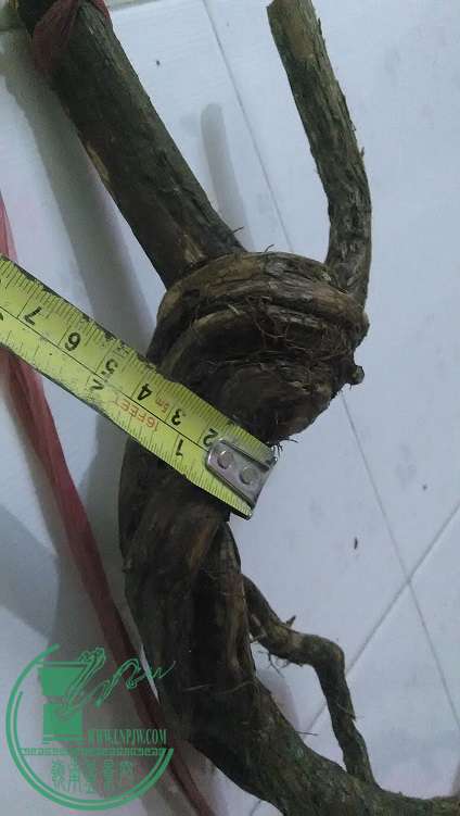 QQͼƬ20150120222924.jpg
