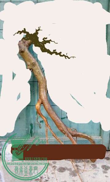 Ϲͼ