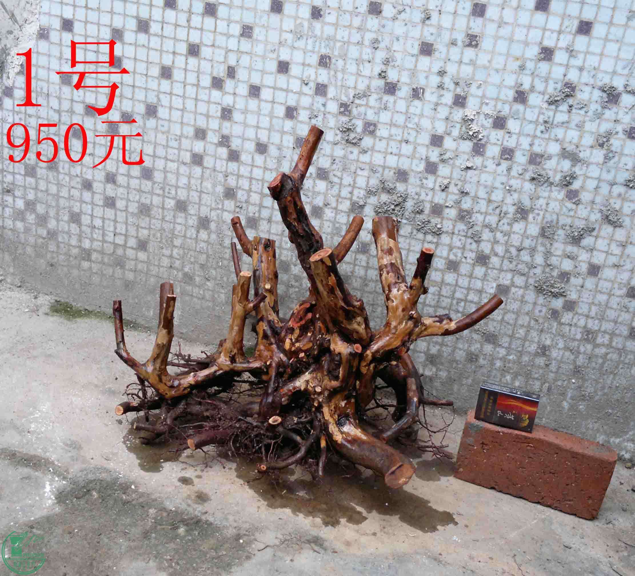 201501211439.jpg