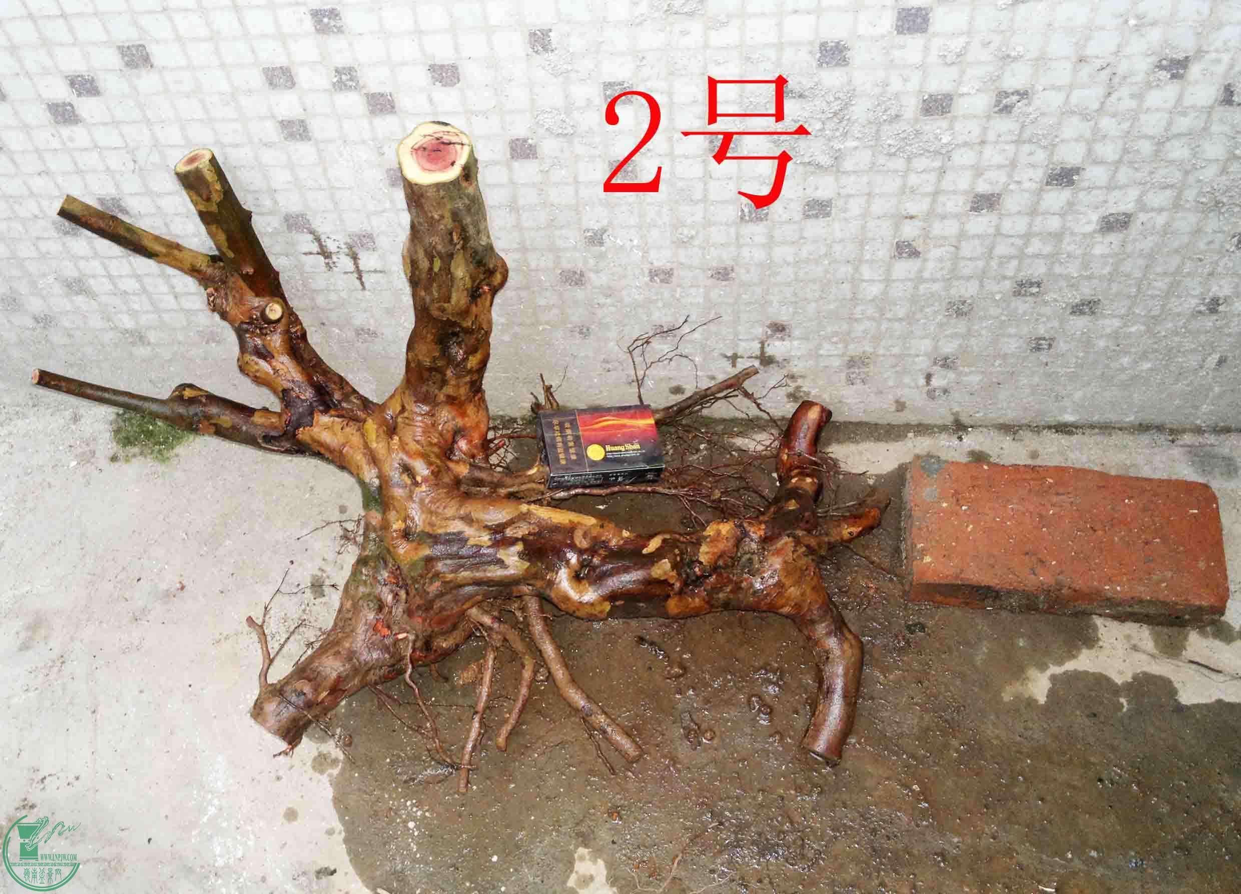 201501211482.jpg