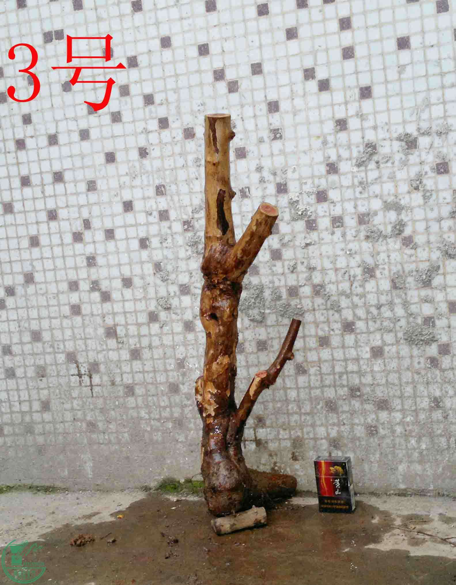 201501211490.jpg