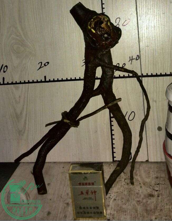QQͼƬ20150121201427.jpg