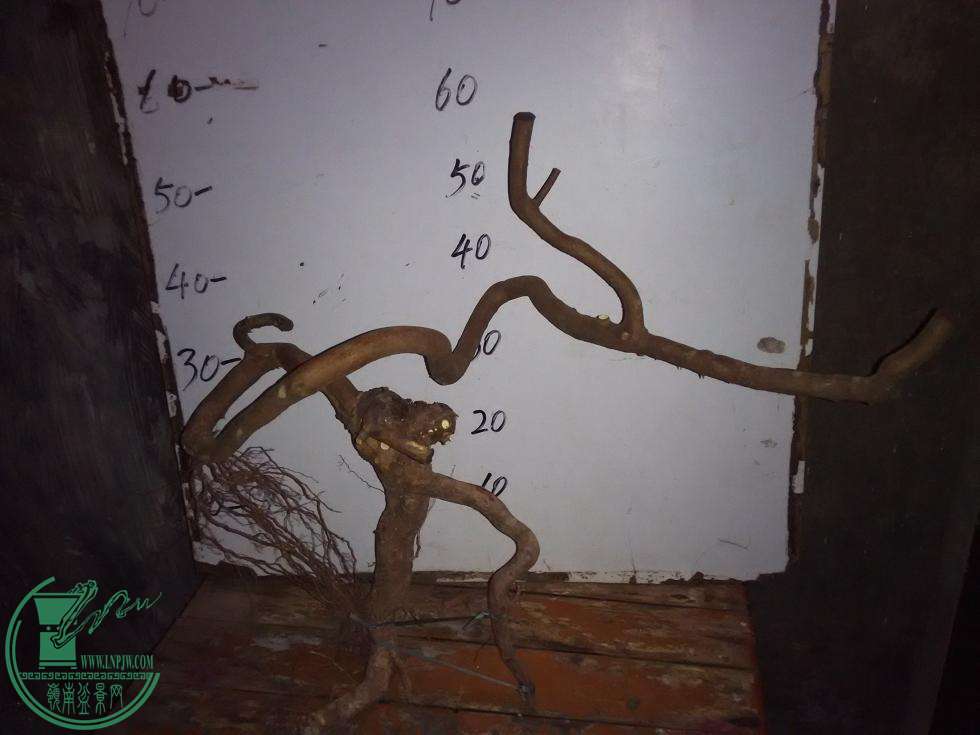 ȸ.jpg