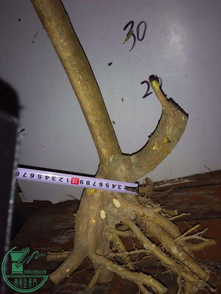 ֱһ.jpg