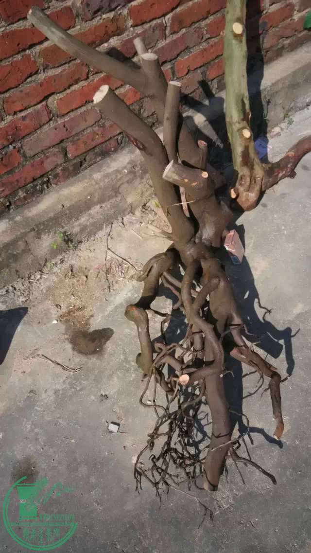 3...jpg