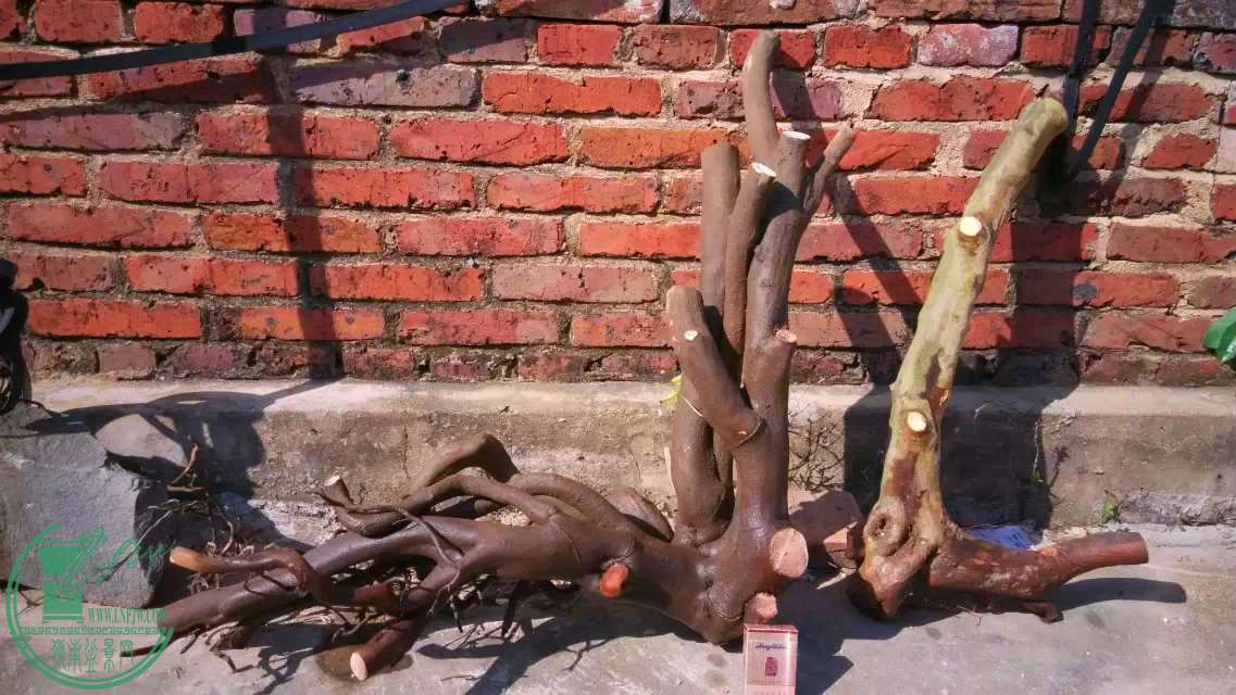 3..jpg