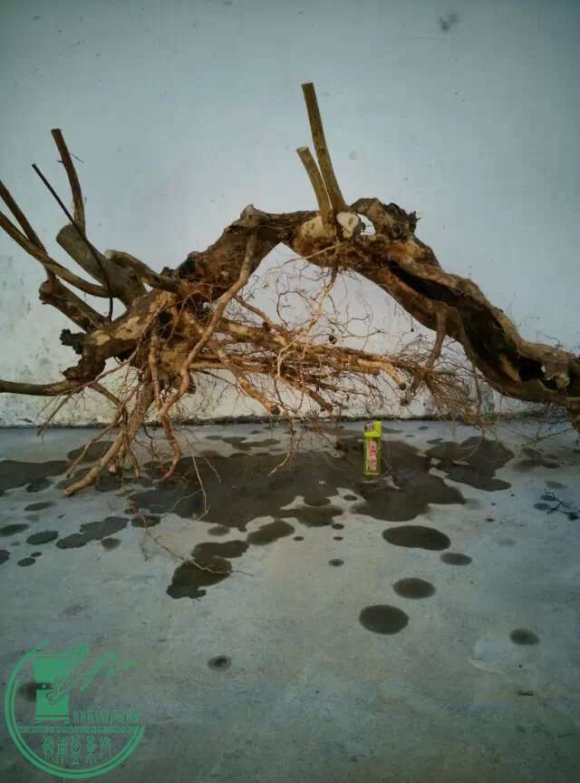 2345_image_file_copy (13).jpg