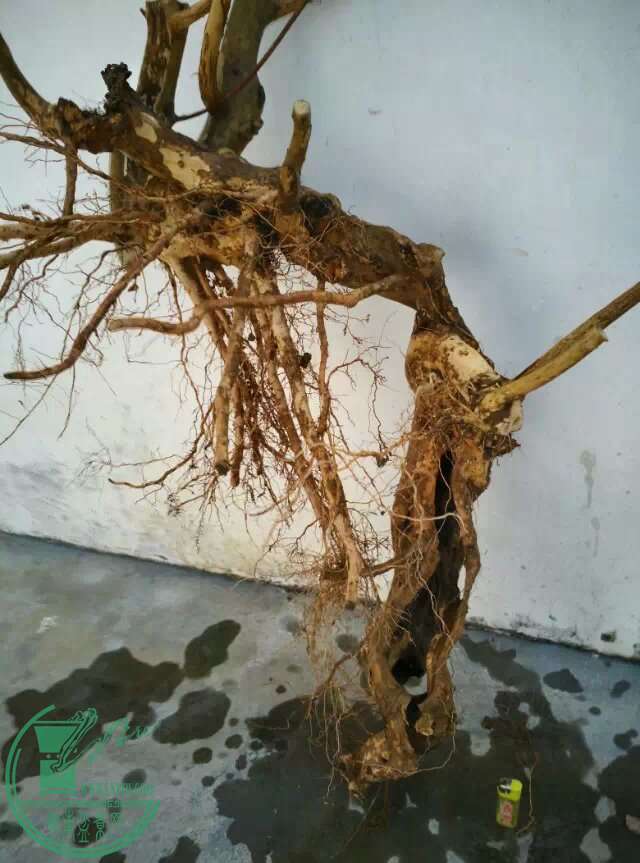 2345_image_file_copy (14).jpg