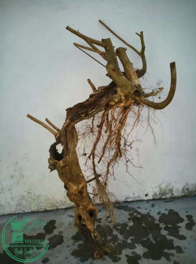 2345_image_file_copy (15).jpg