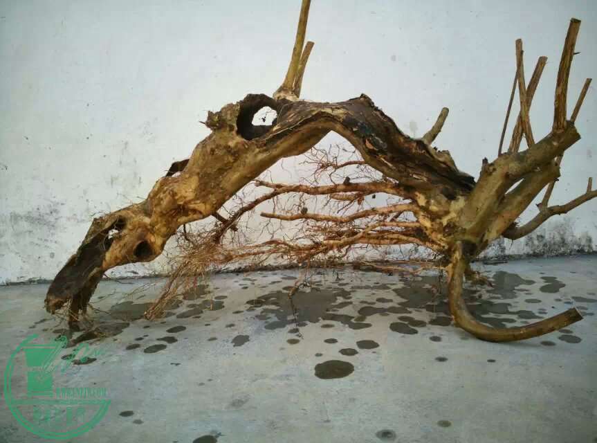 2345_image_file_copy (16).jpg