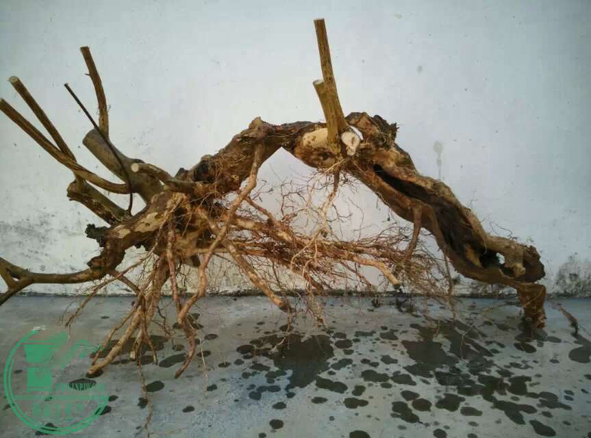 2345_image_file_copy (17).jpg