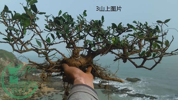 QQͼƬ20150121211626.jpg