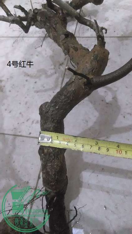 QQͼƬ20150121211404.jpg