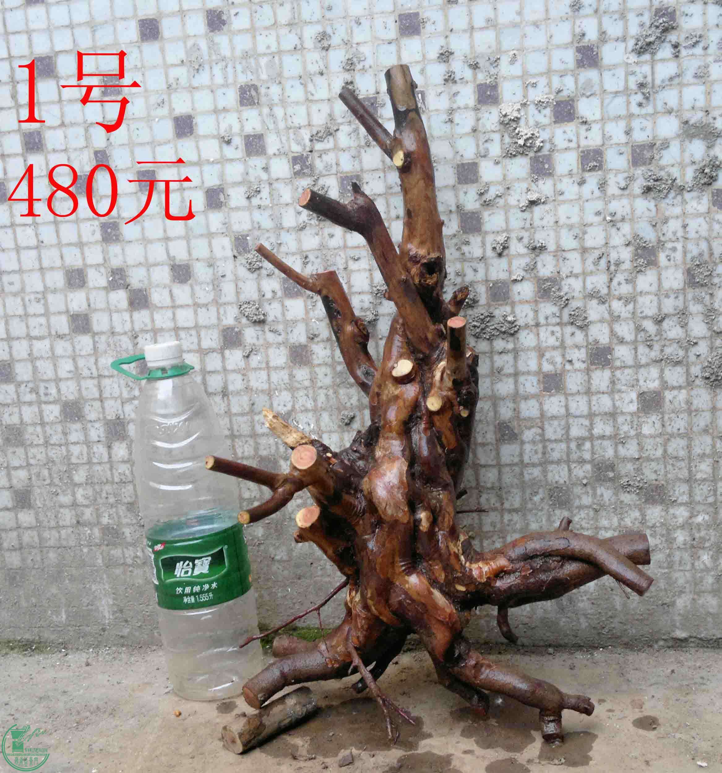 201501221506.jpg
