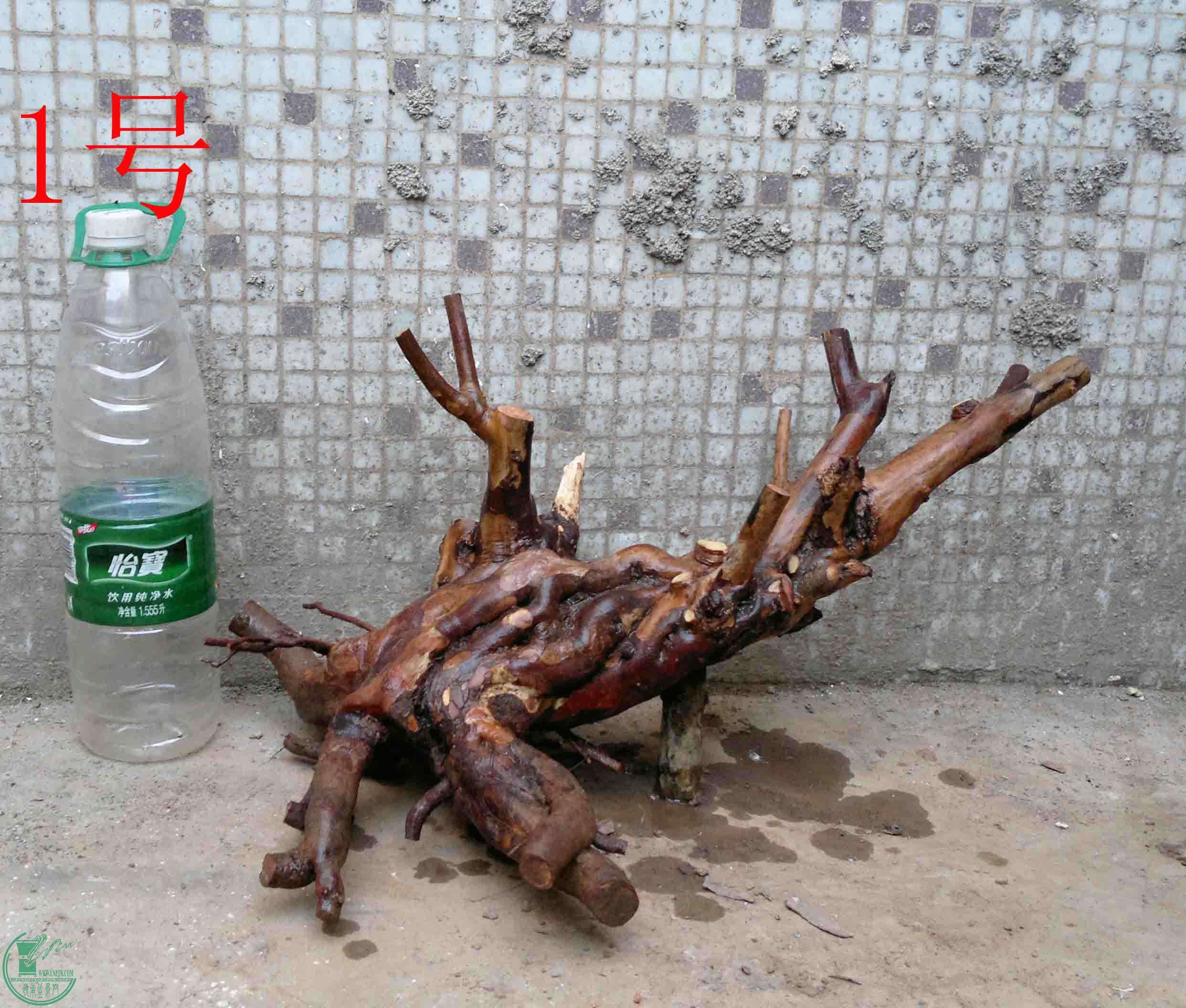 201501221510.jpg
