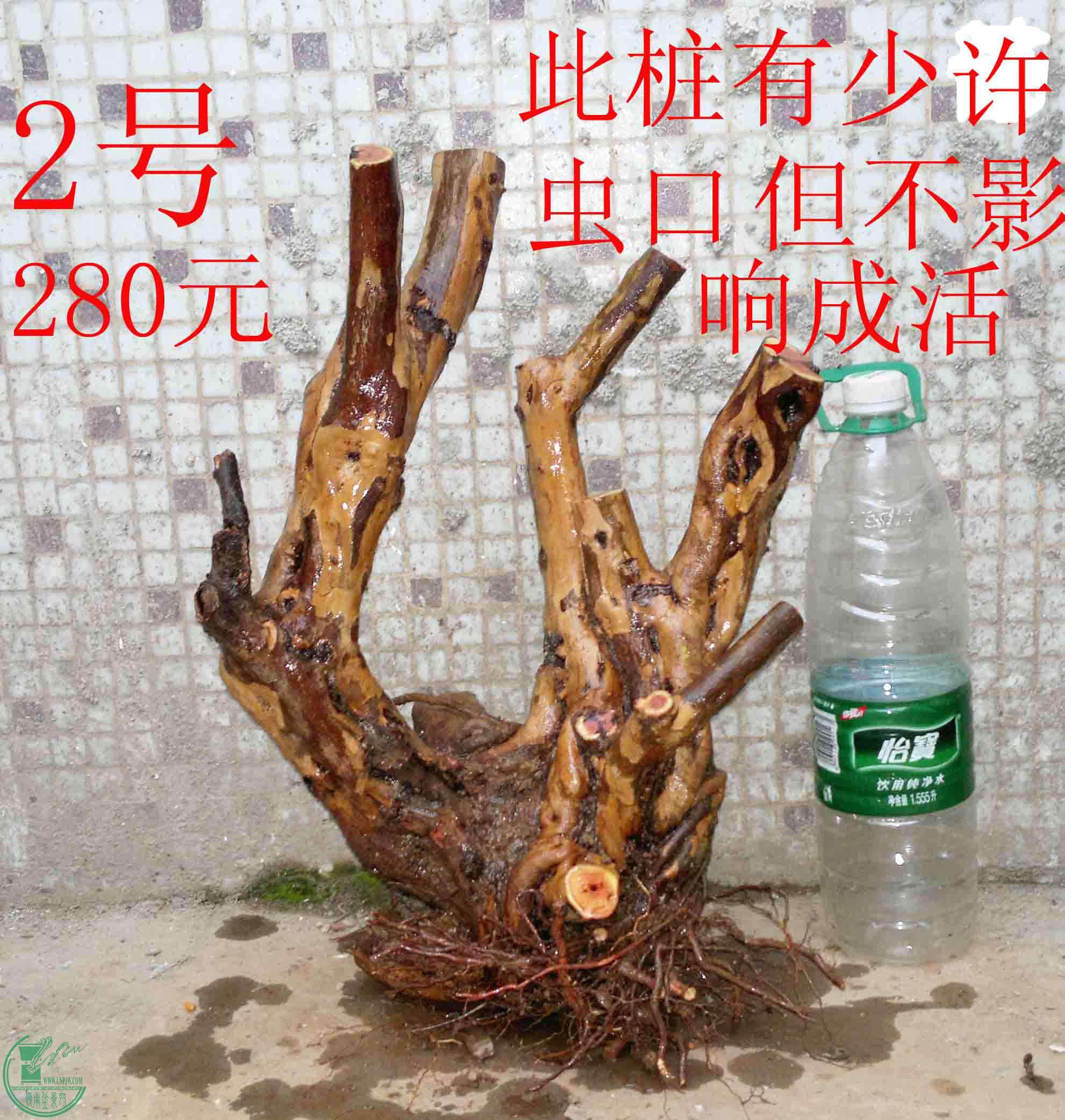 201501221515.jpg