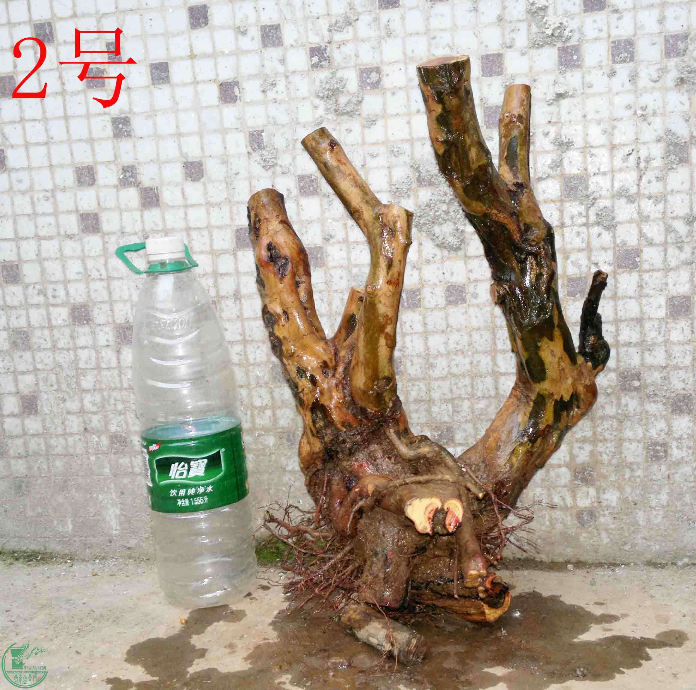 201501221517.jpg