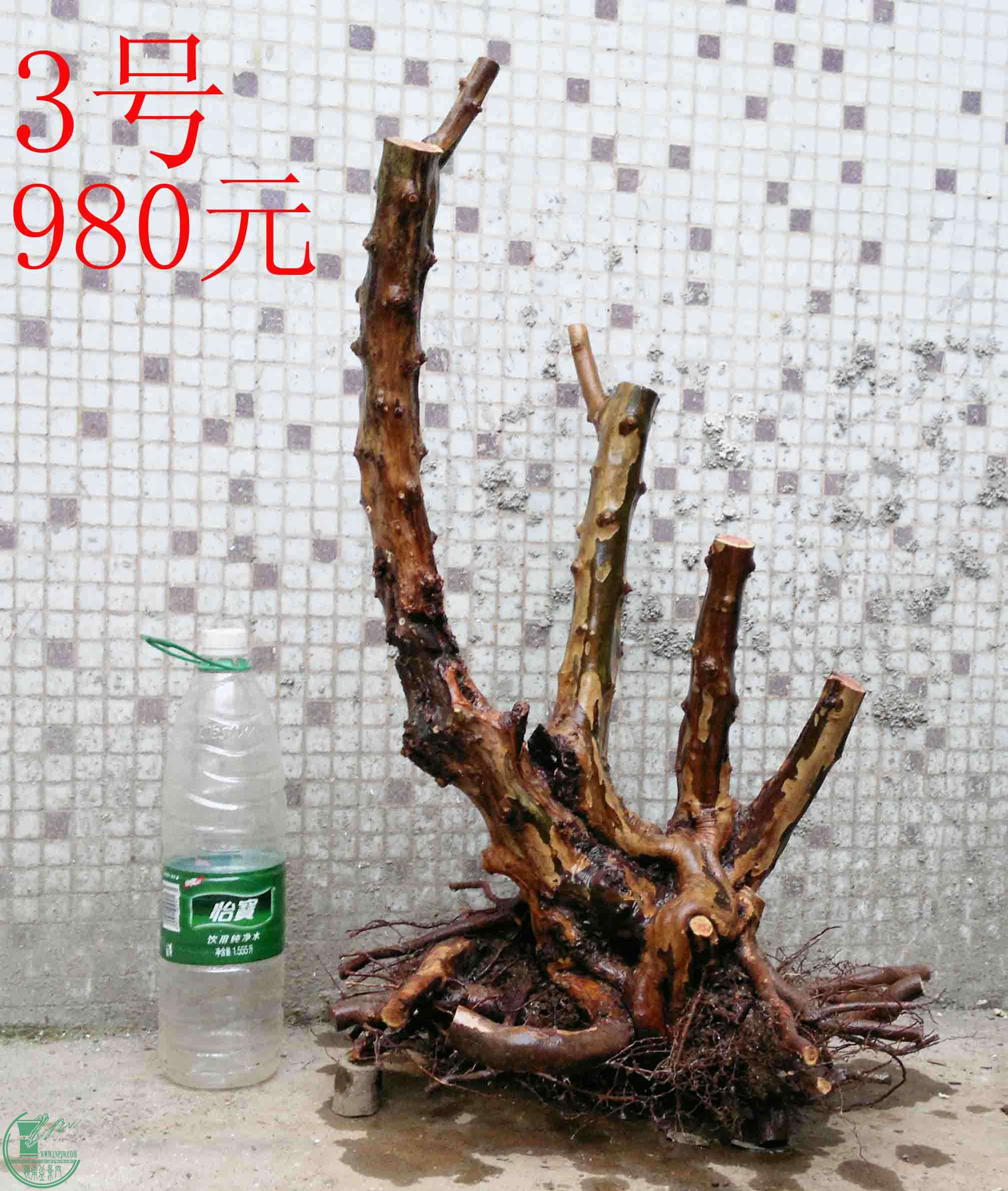 201501221523.jpg
