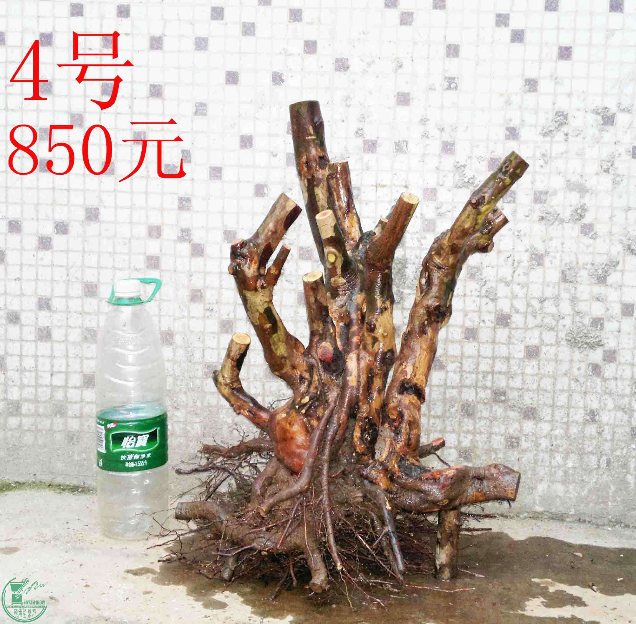 201501221535.jpg