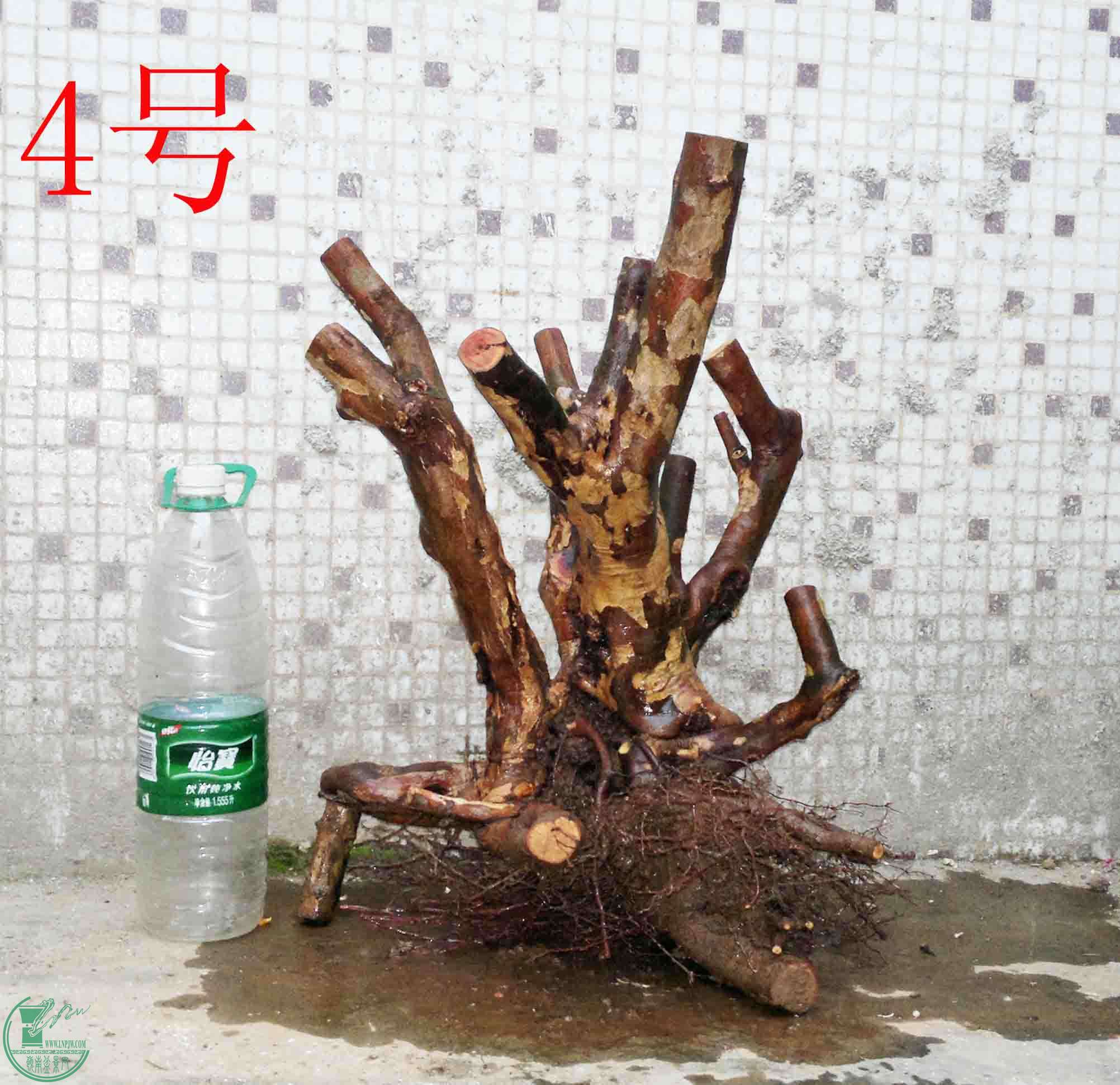 201501221547.jpg