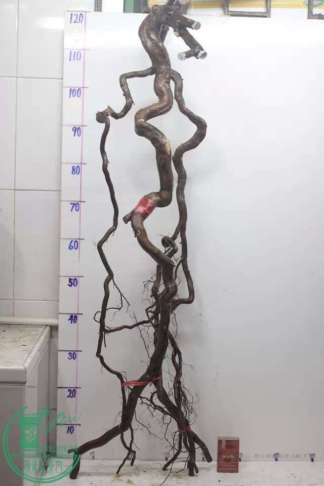 psb (2).jpg