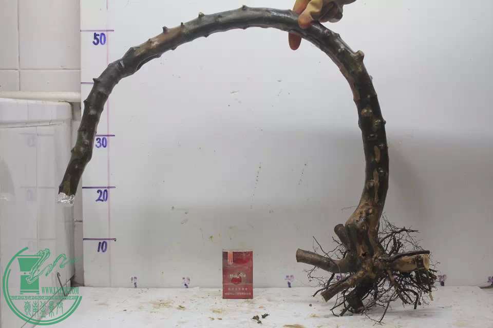 psb (3).jpg