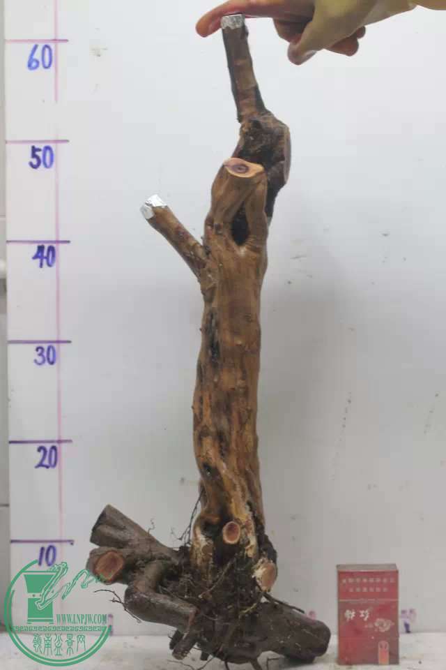 psb (13).jpg