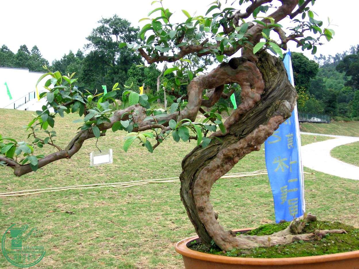 Ƭ 038.jpg