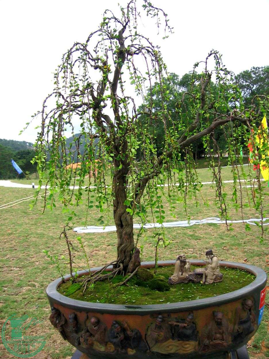Ƭ 039.jpg
