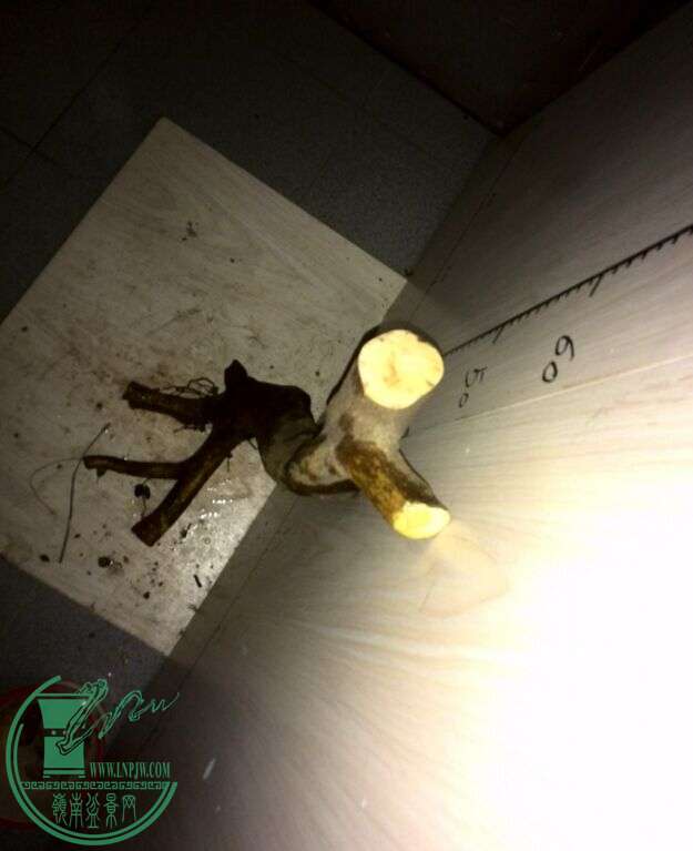 QQͼƬ20150123201334.jpg