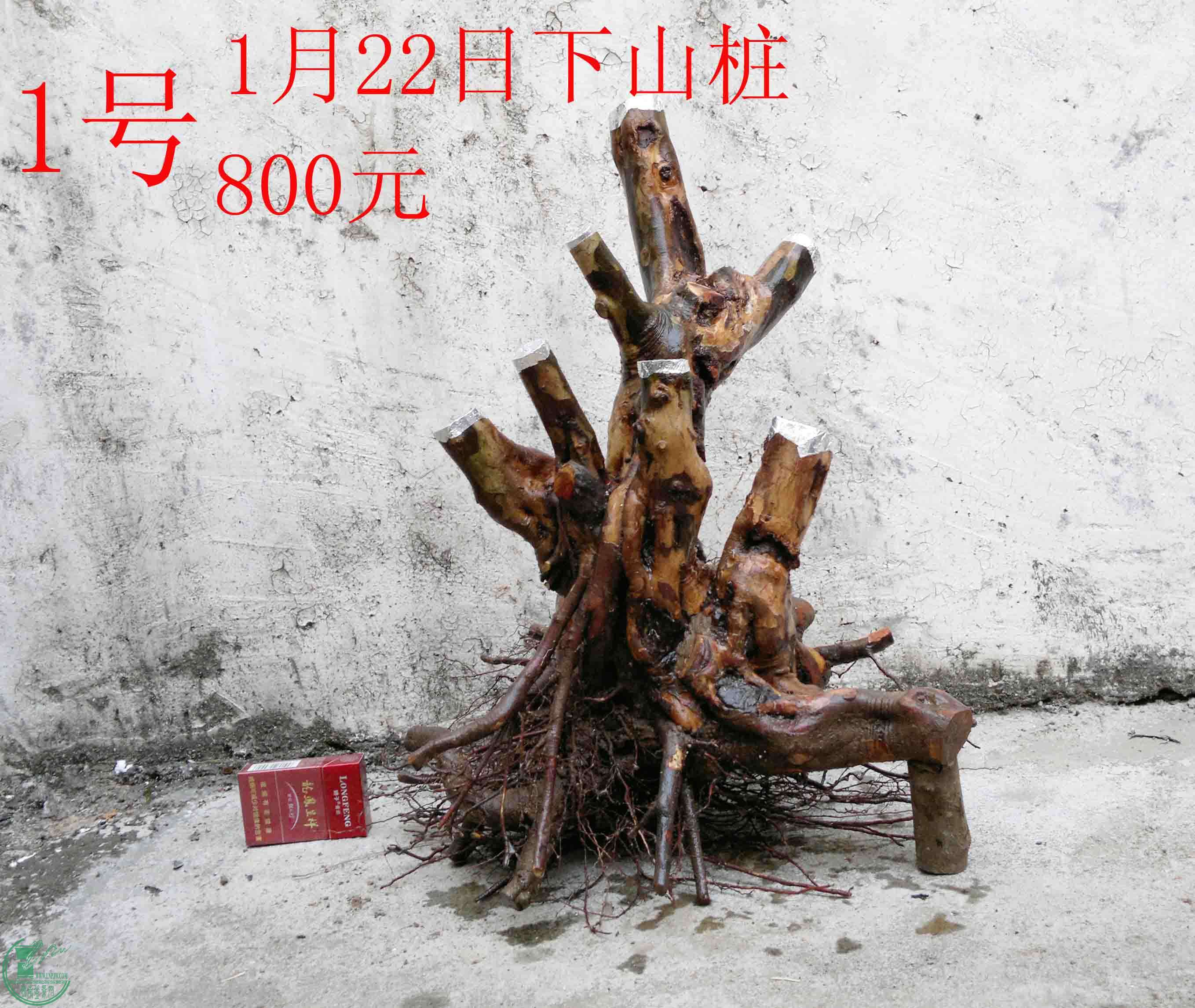 201501231558.jpg