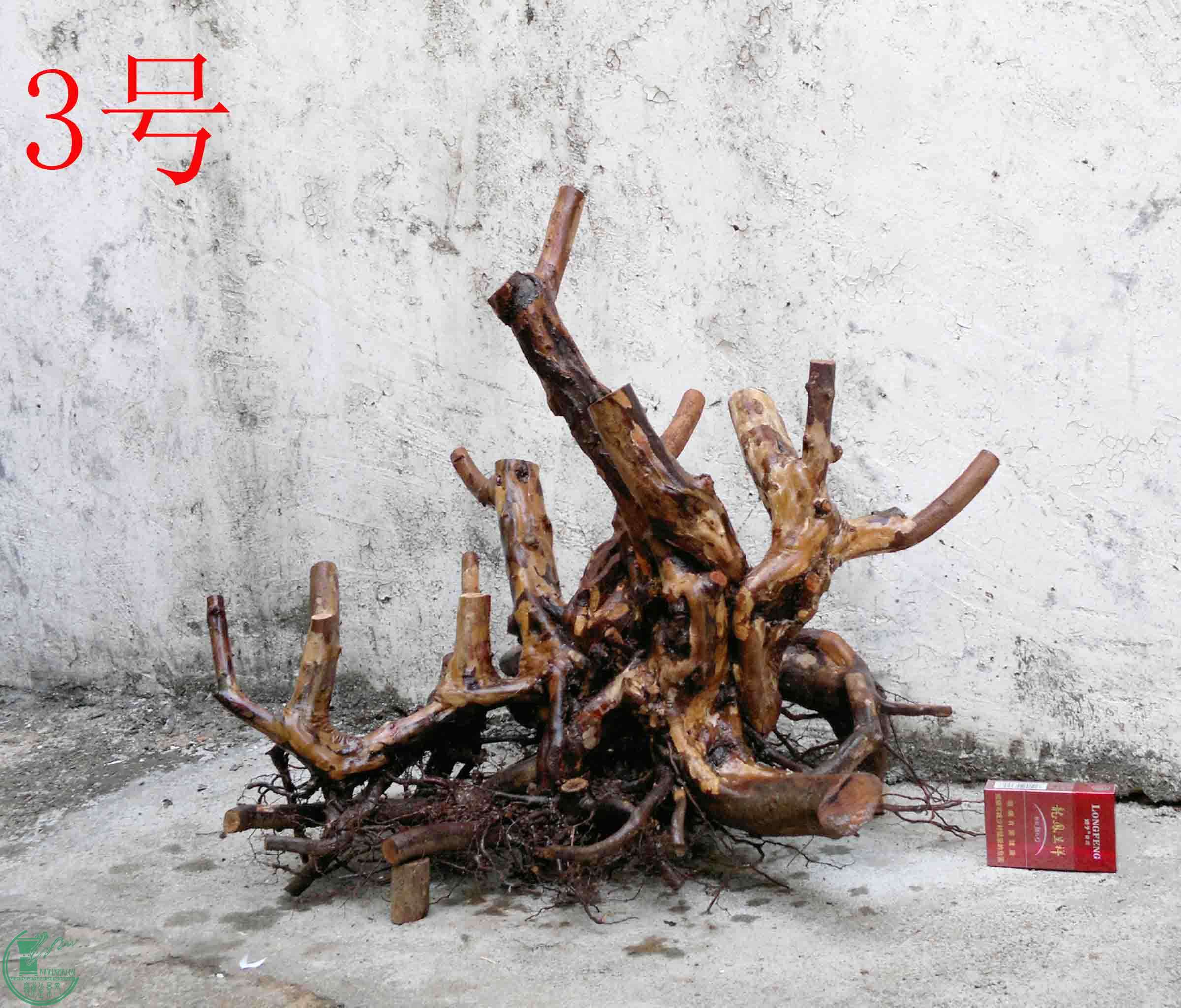201501231571.jpg