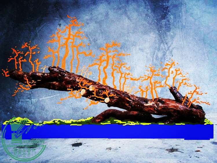 =152047nunp65p74ps6unaz_jpg_thumb - __.jpg