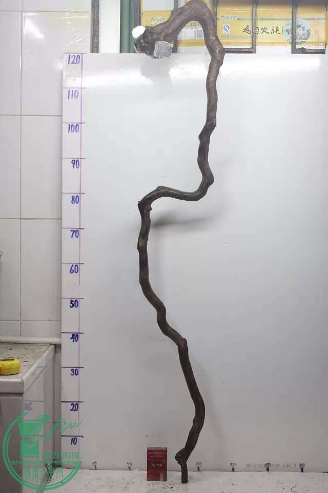 psb (14).jpg