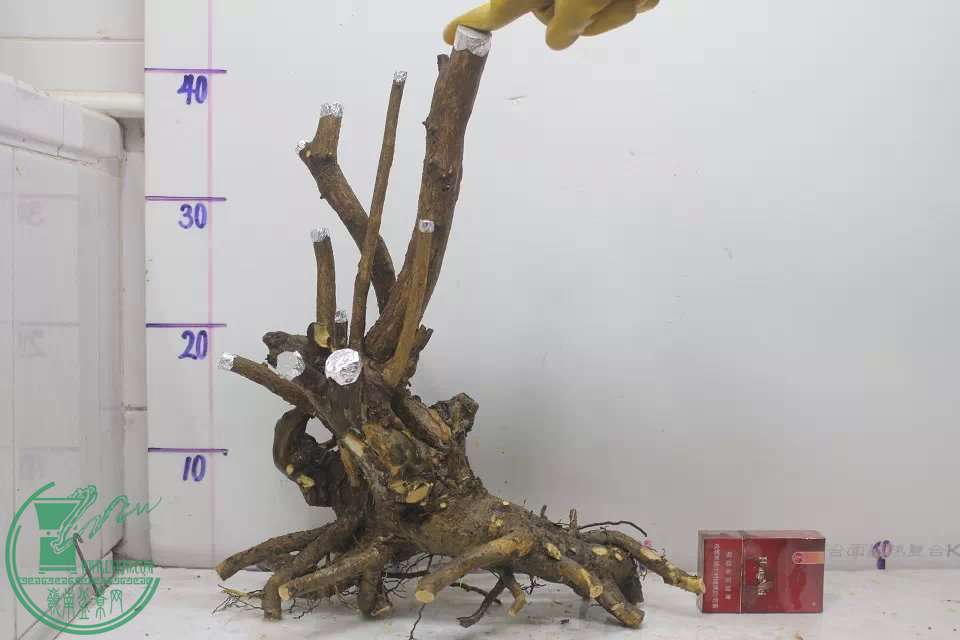 psb (1).jpg