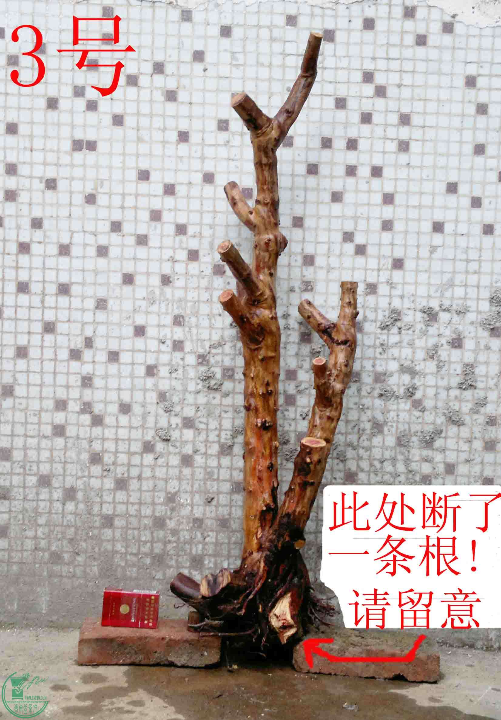 201501251630.jpg