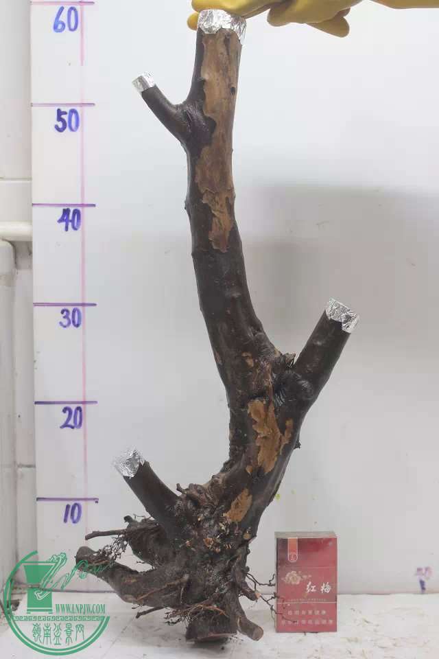 psb (13).jpg