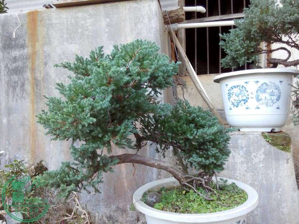 QQͼƬ20150127170935.jpg