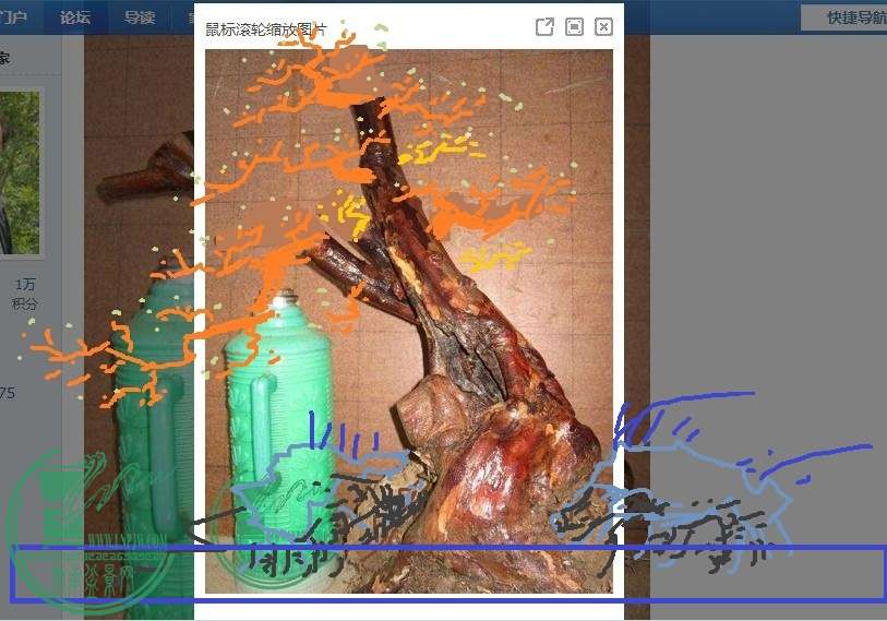 360ͼ20150127234554021 -  -  - .jpg