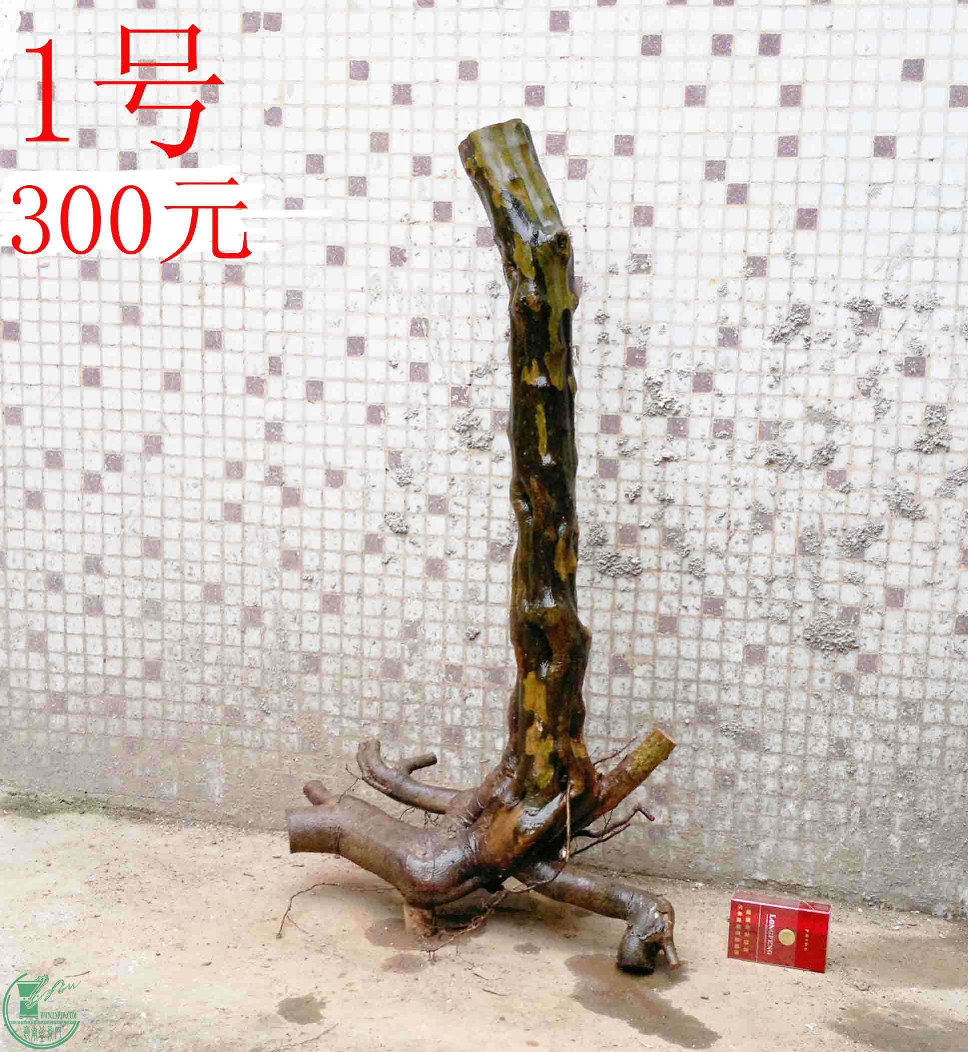 201501271644.jpg