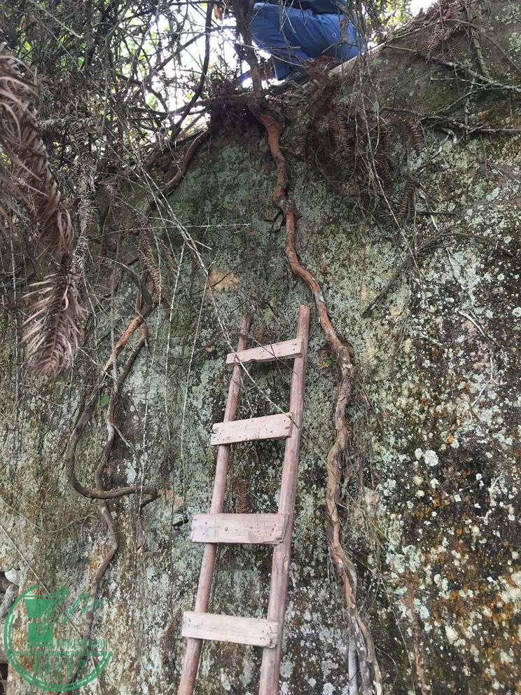 峯ĵﱤ