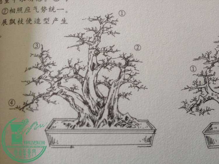 QQͼƬ20150128155723.jpg