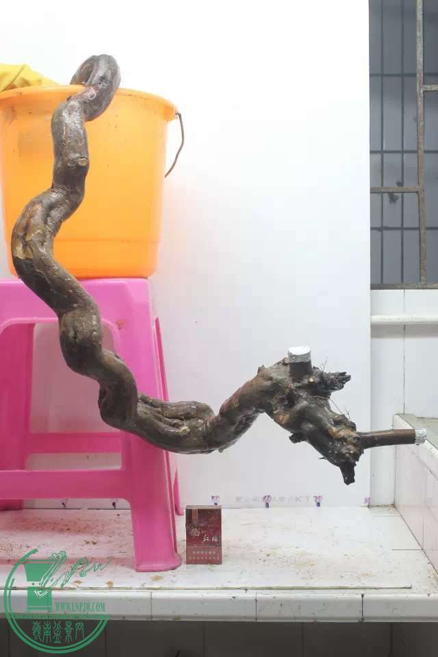 psb (4).jpg