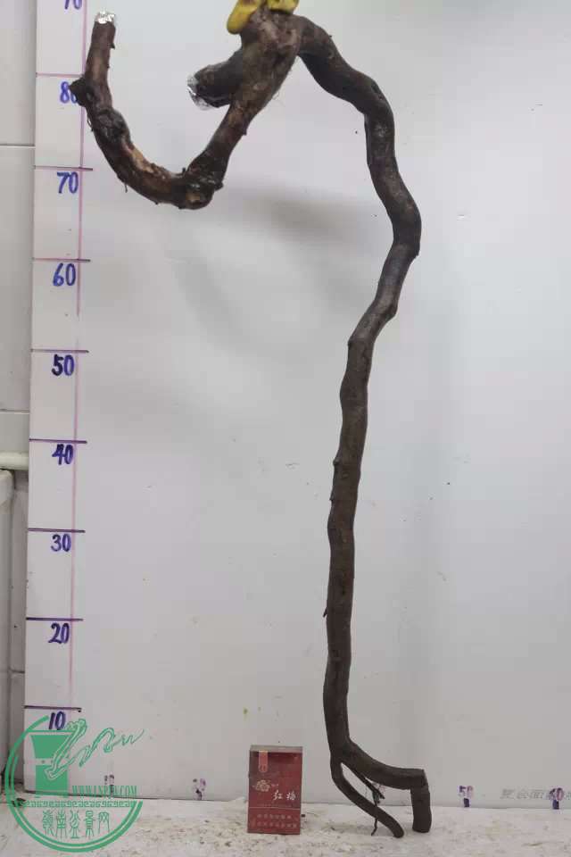 psb (5).jpg