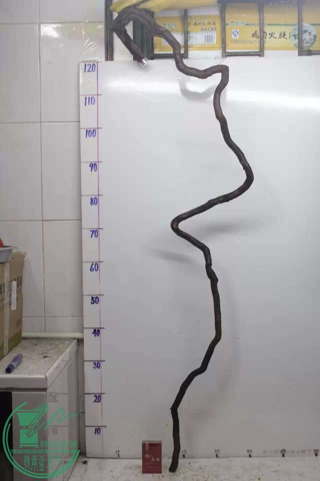 psb (9).jpg
