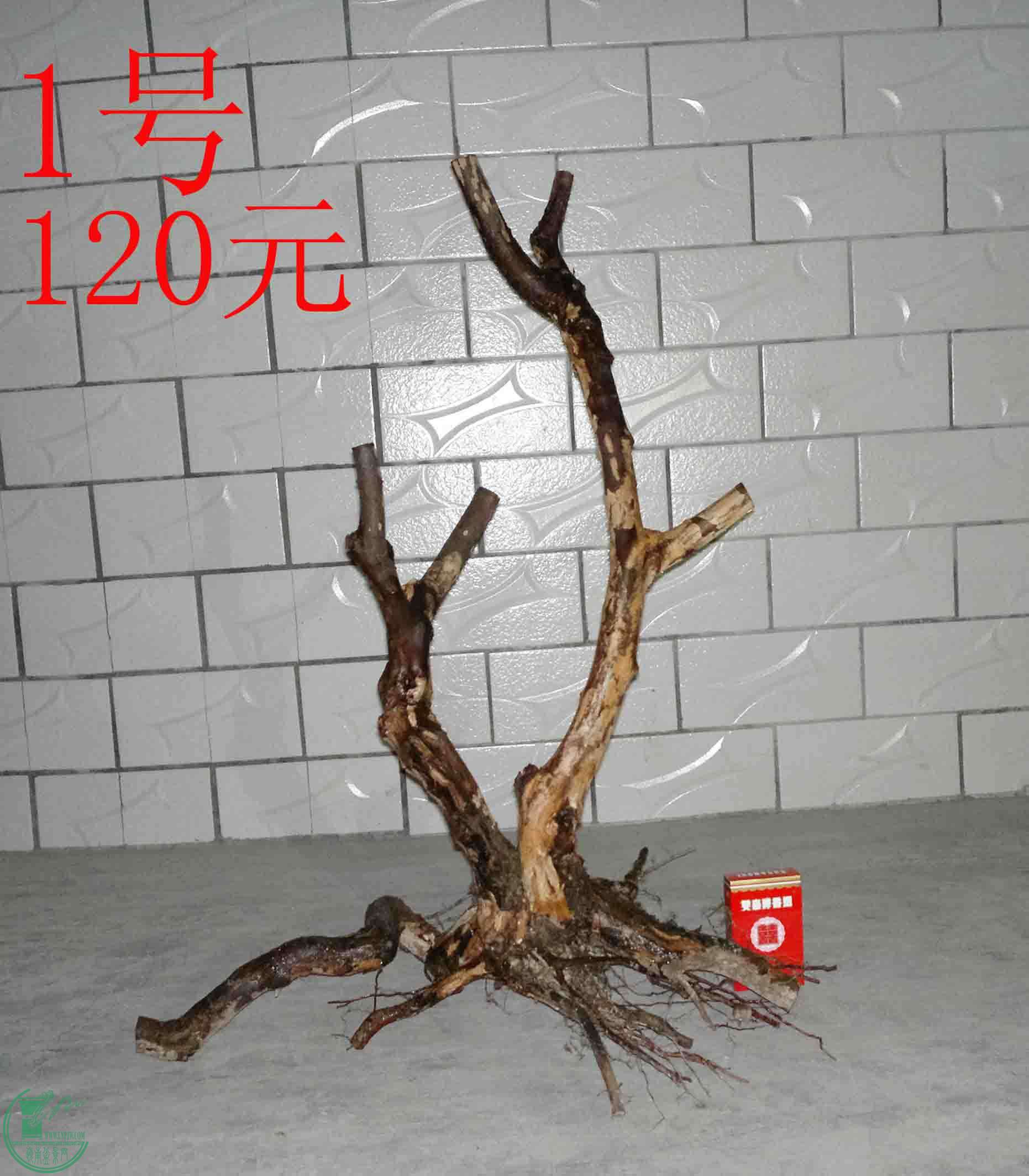 201501291747.jpg