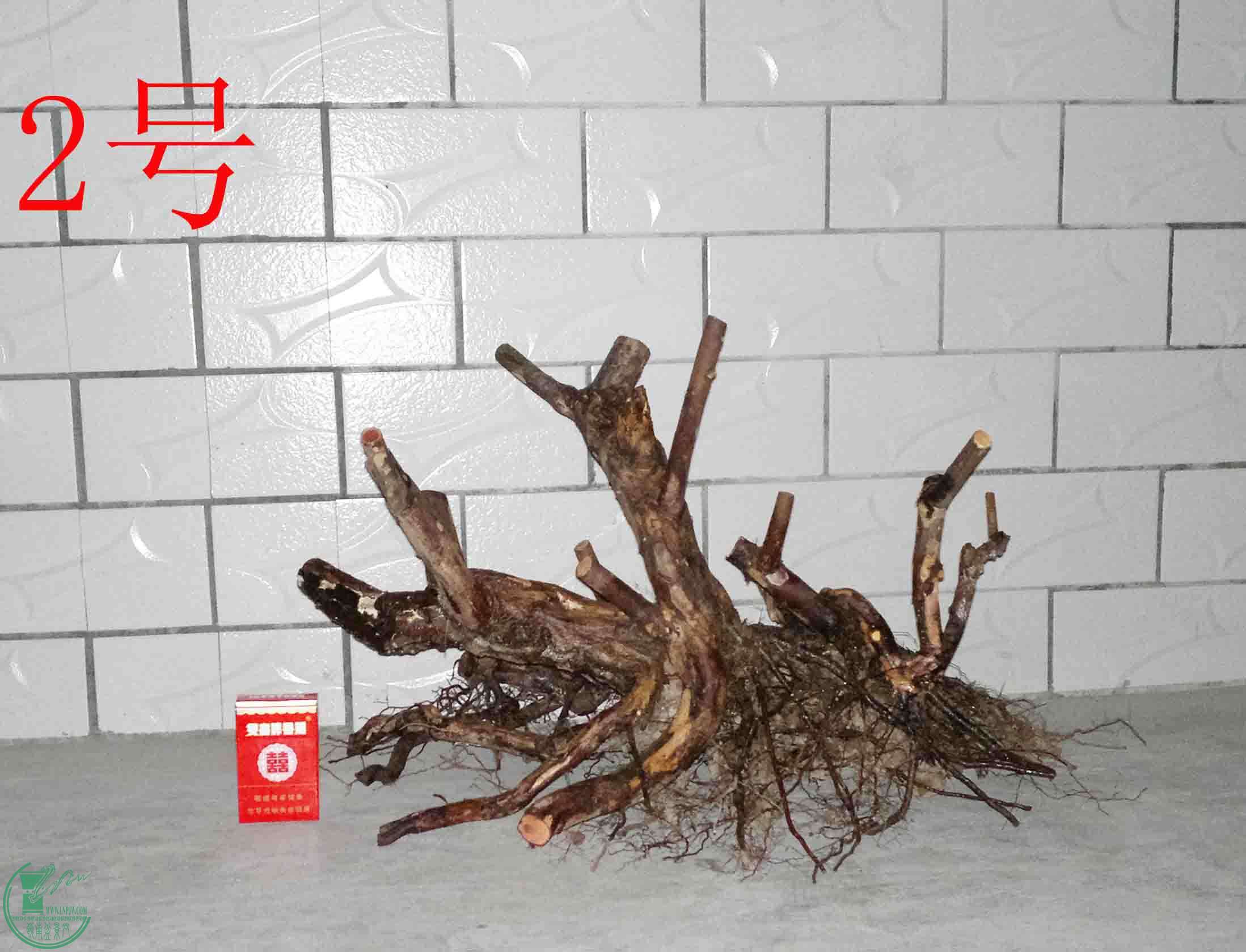 201501291761.jpg