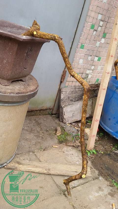 20150130_155004.jpg
